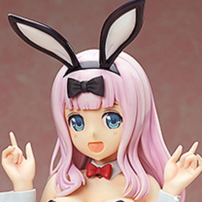 chika fujiwara bunny